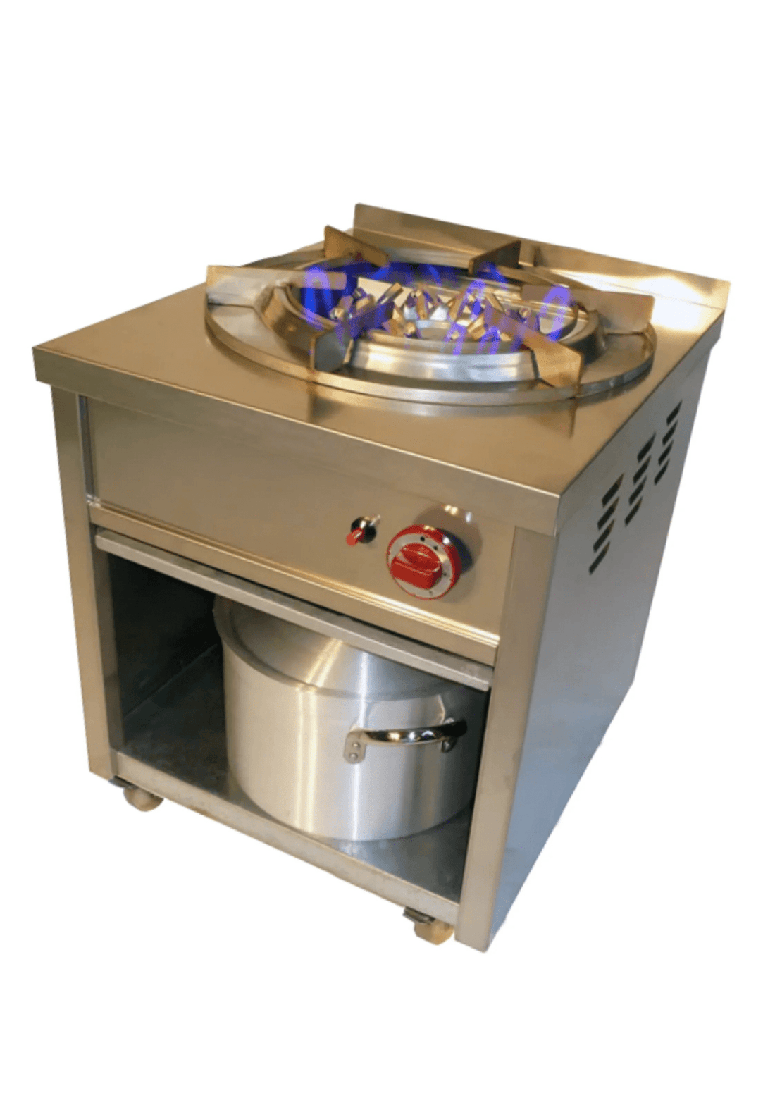 Cuisinière Professionnel Indienne - SHAAN